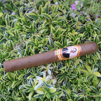 Antonio Gimenez Corona Cigar - 1 Single